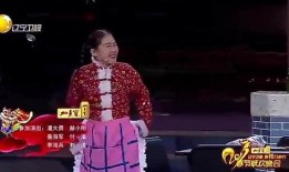 宋小宝最新小品爆料大全,笑料横生，揭秘娱乐圈幕后故事